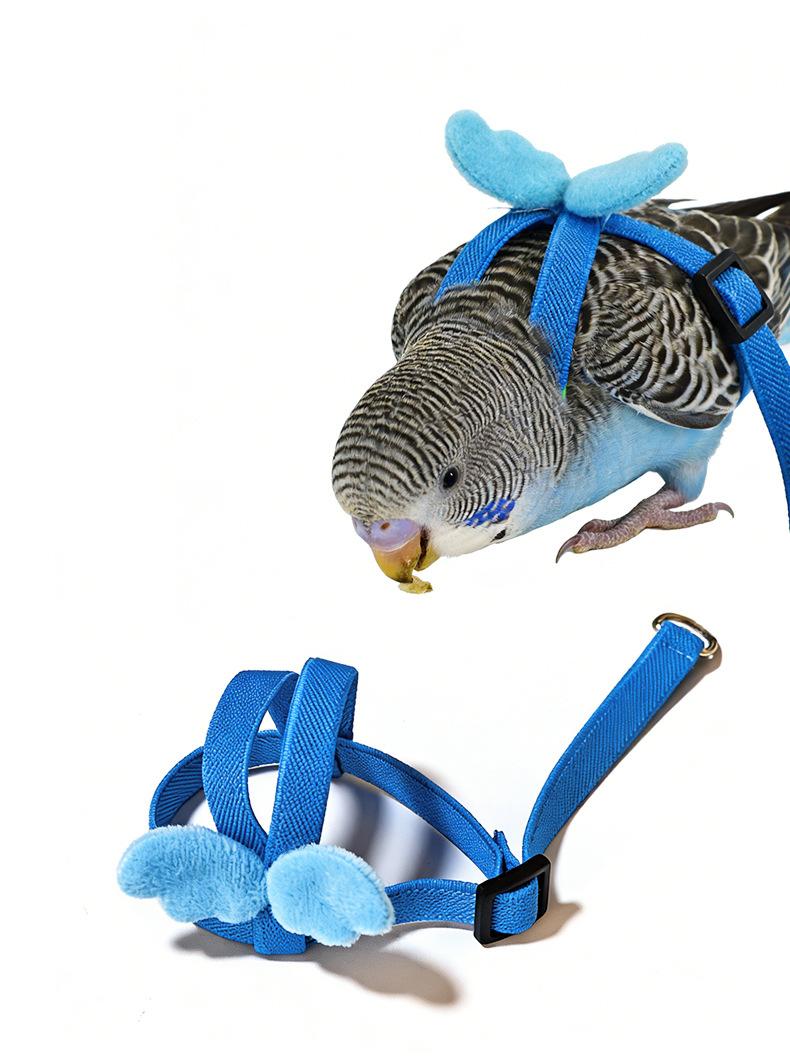 Bird parrot leash, cockatiel, budgerigar, lovebird traction rope, outdoor flight harness, bird walking supplies, extended leash