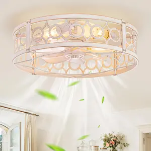 Caged Ceiling Fan with Light and Remote, 20in Small Low Profile Ceiling Fans with Lights, 6 Speed  Flush Mount Ceiling Fan for Bedroom, Kitchen, Living Room-White and
