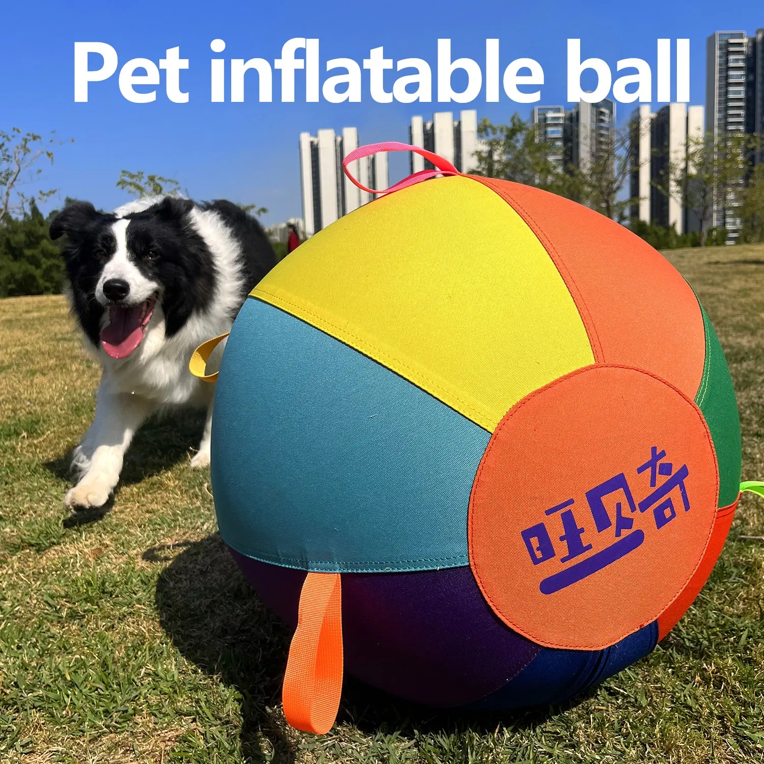 Pet Giant Toy Ball, Multicolor Interactive Outdoor Inflatable Toy, Non-Chewable, Includes Air Pump, Fun and Durable Plaything for Pets