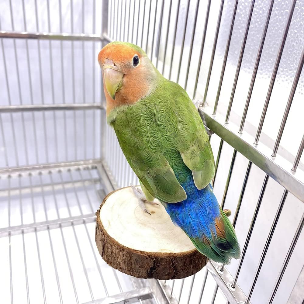 9-Piece Parrots Chewing Toy Set - Natural Wood & Rope Bungee Toys for Anchovies, Coconut Hideaway with Ladder, Bird Perch Stand, Cage Accessories for Parakeets, Cockatiel, Conure, Mynah, Macaw