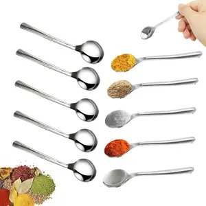 3.93" Mini Spoons 10pcs, Tiny Stainless Steel Spoon for Spice Jars, Small Seasoning Spoon for Spices, Salt, Sugar, Honey, SUS 304 Food Grade Serving Spoons