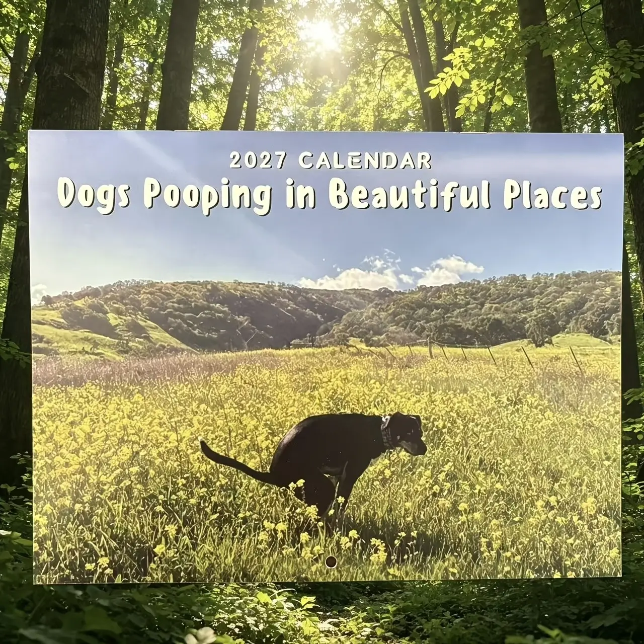 Funny Dog Poop Calendar 2027, Cute Pet Photography Wall Calendar, December Hanging Style, Creative Gift for Dog Lovers