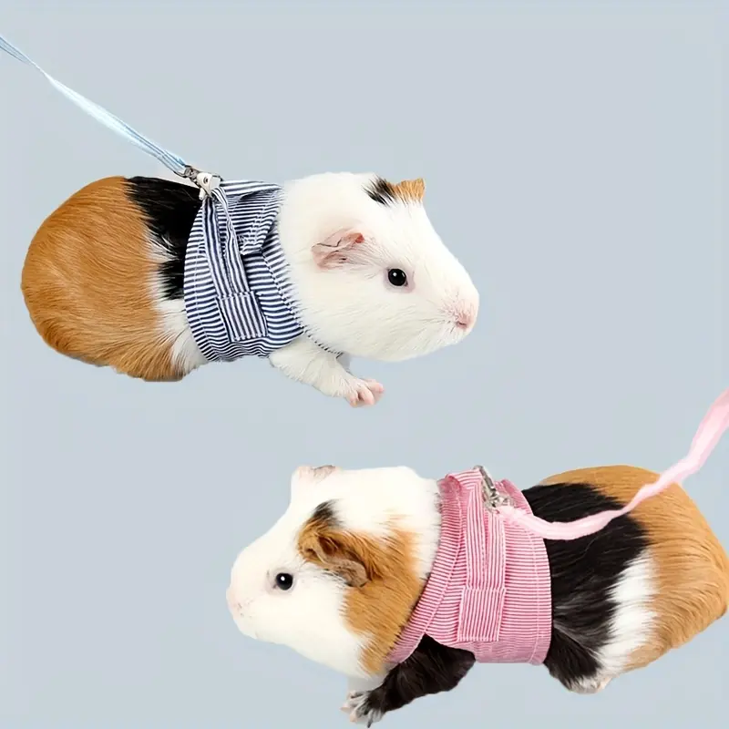 Pet Plaid Outfit with Leash, Spring/Summer Comfortable Two-Leg Harness for Ferrets, Rabbits, Hedgehogs, and Guinea Pigs