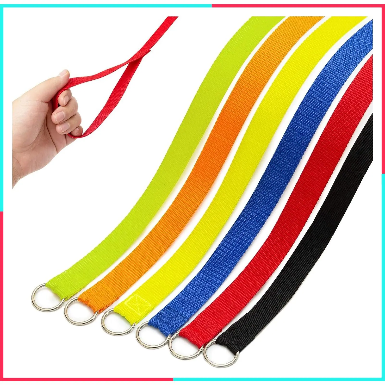 6 Pack Short Slip Lead Dog Leashes, 6 FT Strong Pulling Pet Leashes with O-Ring for Walking, Training, Grooming, Shelter, and Rescue