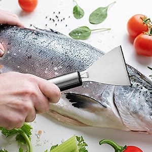 2PCS Stainless Steel Fish Scale Planer Multifunctional Fish Scale Remover Kitchen Utensils 2PCS Stainless Steel Fish Scale Planer Multifunctional Fish Scale Remover Kitchen Utensils