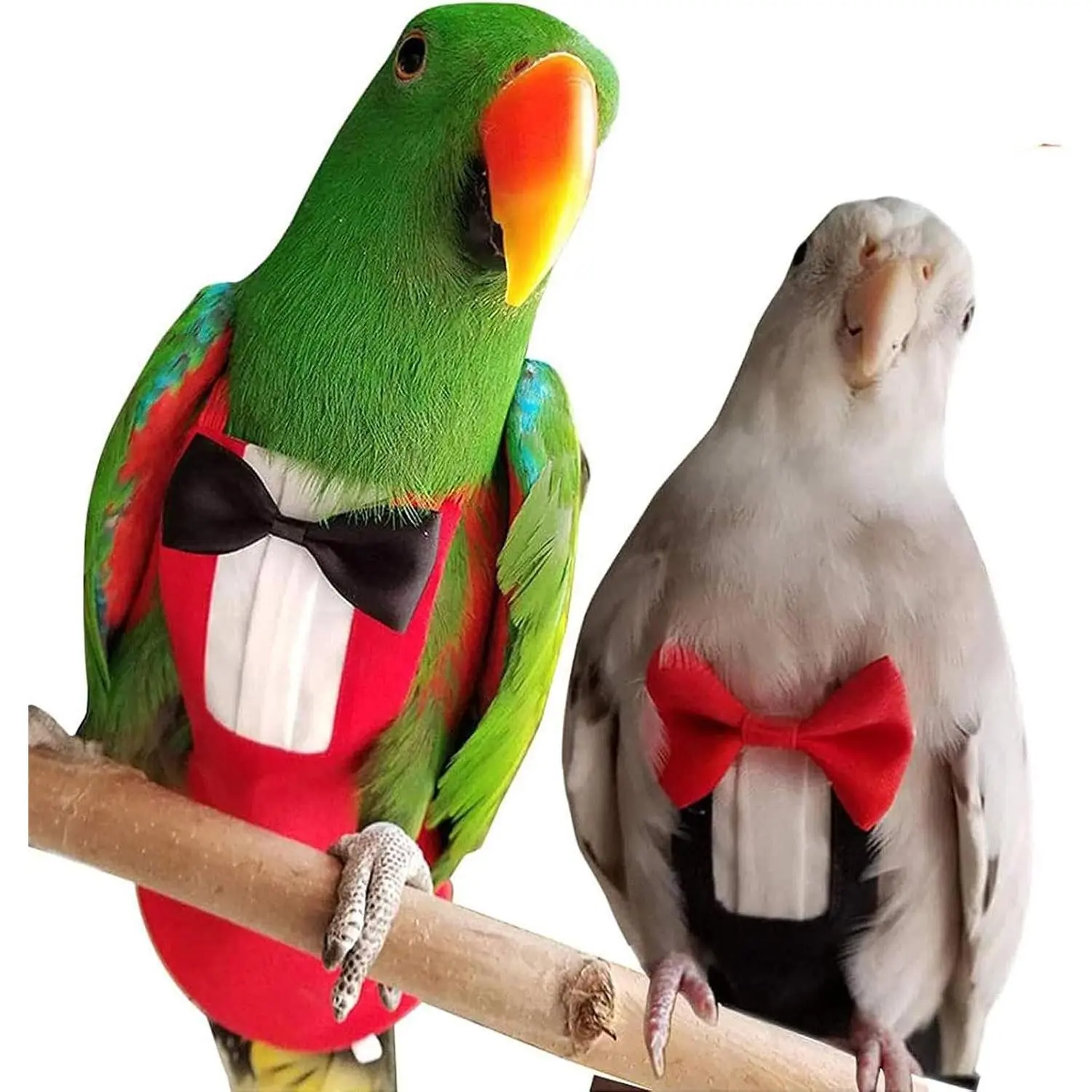 2 Pack Reusable Bird Diapers, Cockatiel Tuxedo Flight Suit, Parrot Nappy Clothes Costume for Wedding Party Birthday Cosplay Photo, Pigeon Urine Pants for Conure Macaw Budgies Parakeet