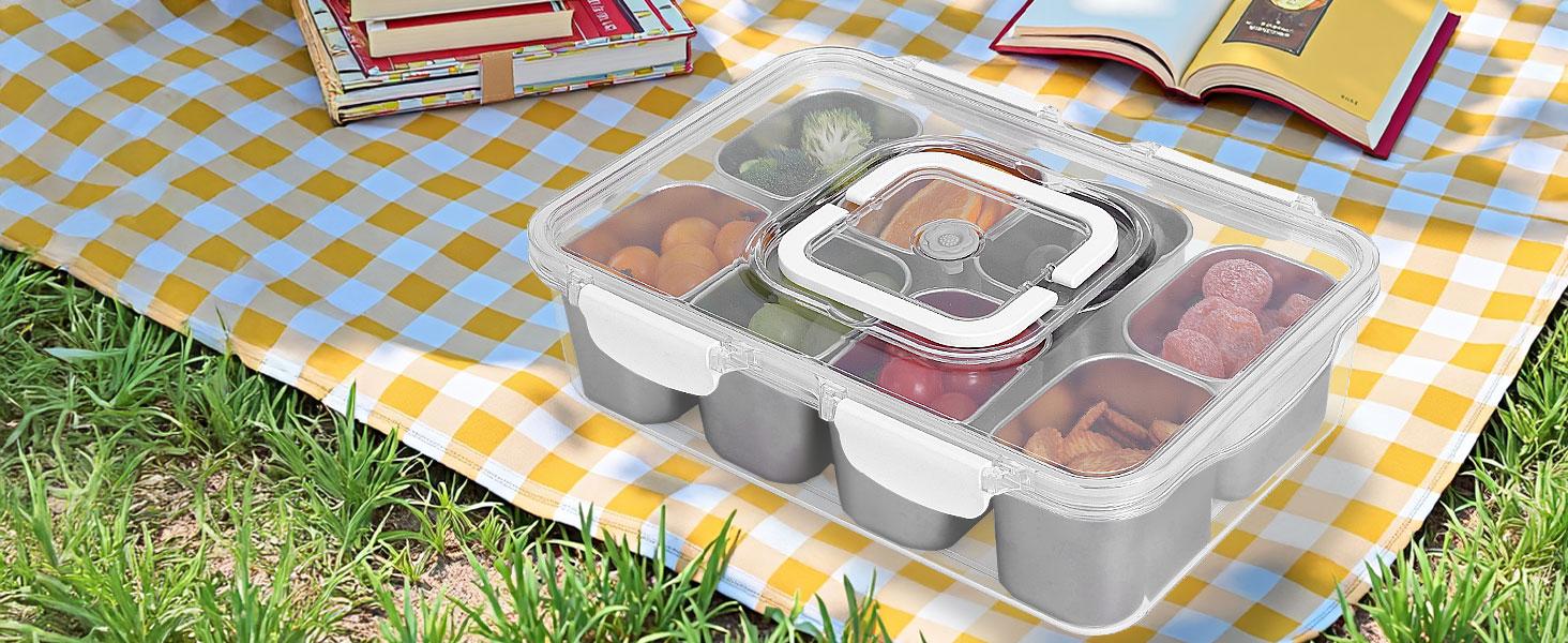Snackle Box Container with Ice Pack, 304 Stainless Steel Divided Serving Tray, Snacklebox with Insulated Bag, 8 Compartment Platter Box with Lid and Handle for Beach, Road Trip, Boat Days, Pool Party