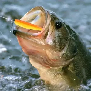 Artificial Fishing Lure, 50pcs/set Bionic Fake Fishing Bait, Reusable Fishing Supplies, Outdoor Fishing Accessories