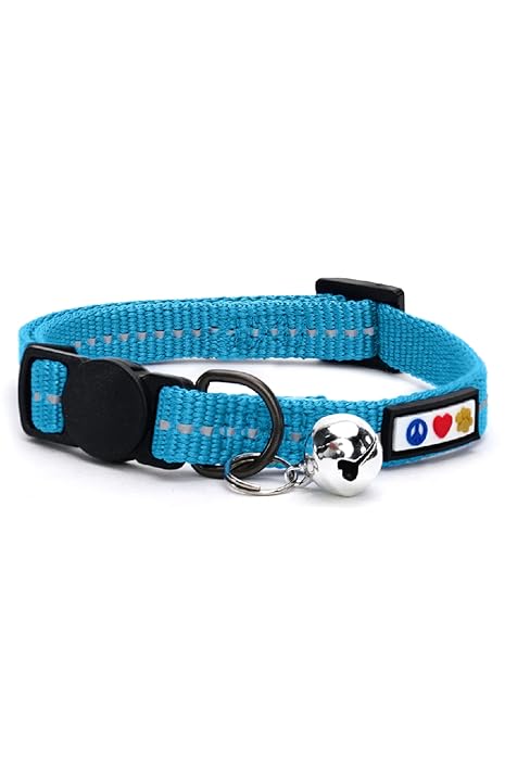 Pawtitas Reflective Cat Collar with Safety Buckle and Removable Bell Cat Collar Kitten Collar Purple Orchid Cat Collar