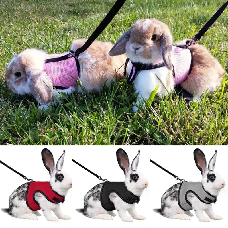 Chemical-Free Solid Adjustable Pet Harness & Leash Set, Safe Fit for Rabbit Bunny Cat Ferret Outdoor Walks, Pet Supplies Accessory