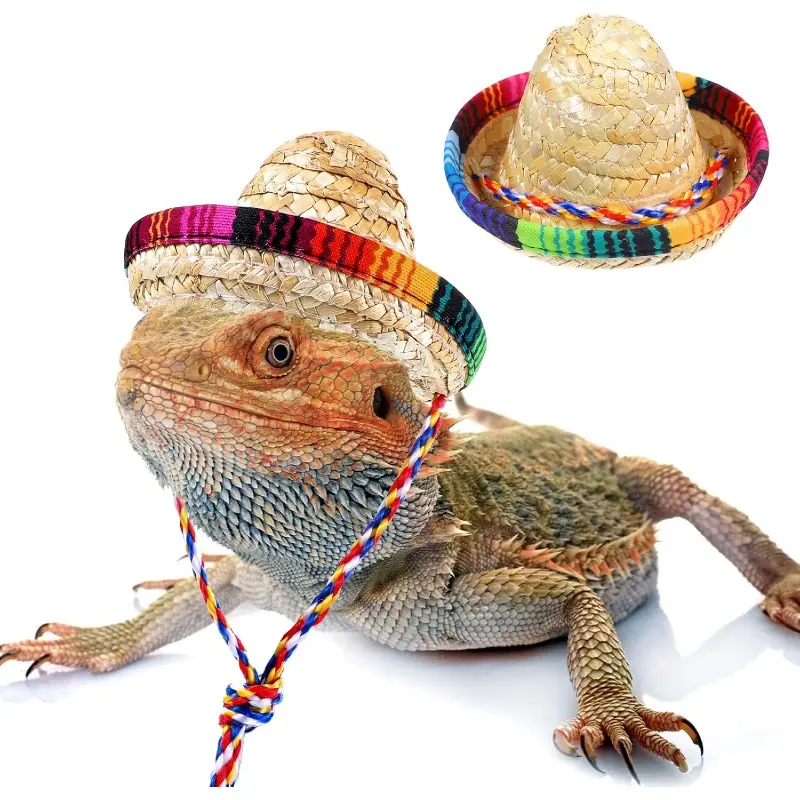 Bearded Dragon Sombrero Hats, Bearded Dragon Clothes Accessories Lizard Straw Hat with Adjustable Chin Strap Small Pet Hat Lizard Costume for Reptile Ferret Hamsterleopard Gecko Snake Guinea Pig Pet