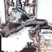 Jaysuing Rehmannia Root Repair Shampoo Soap - A natural hair conditioner that nourishes and makes hair smooth and soft.Gentle and non-irritating.Deep cleansing.Refreshing and non-greasy.The perfect choice.