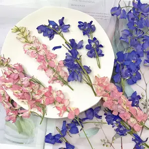 36/72pcs Larkspur of Dried Flowers with Branches, Pressed Flowers, Natural Dried Flowers Craft Kit for Making Pressed Flowers, Materials for Handmade Crafts, Christmas Decorations, Gifts for Valentine'S Day And Mother'S Day