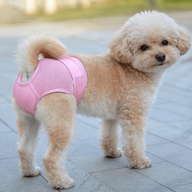 New Pet Female Dog Period Pants in 5 Colors, Comfortable, Leak-proof, and Breathable. Anti-harassment Modesty Pants, Reusable Dog Menstrual Pants, Dog Diapers. Suitable for Small, Medium, and Large Dogs. for All Seasons