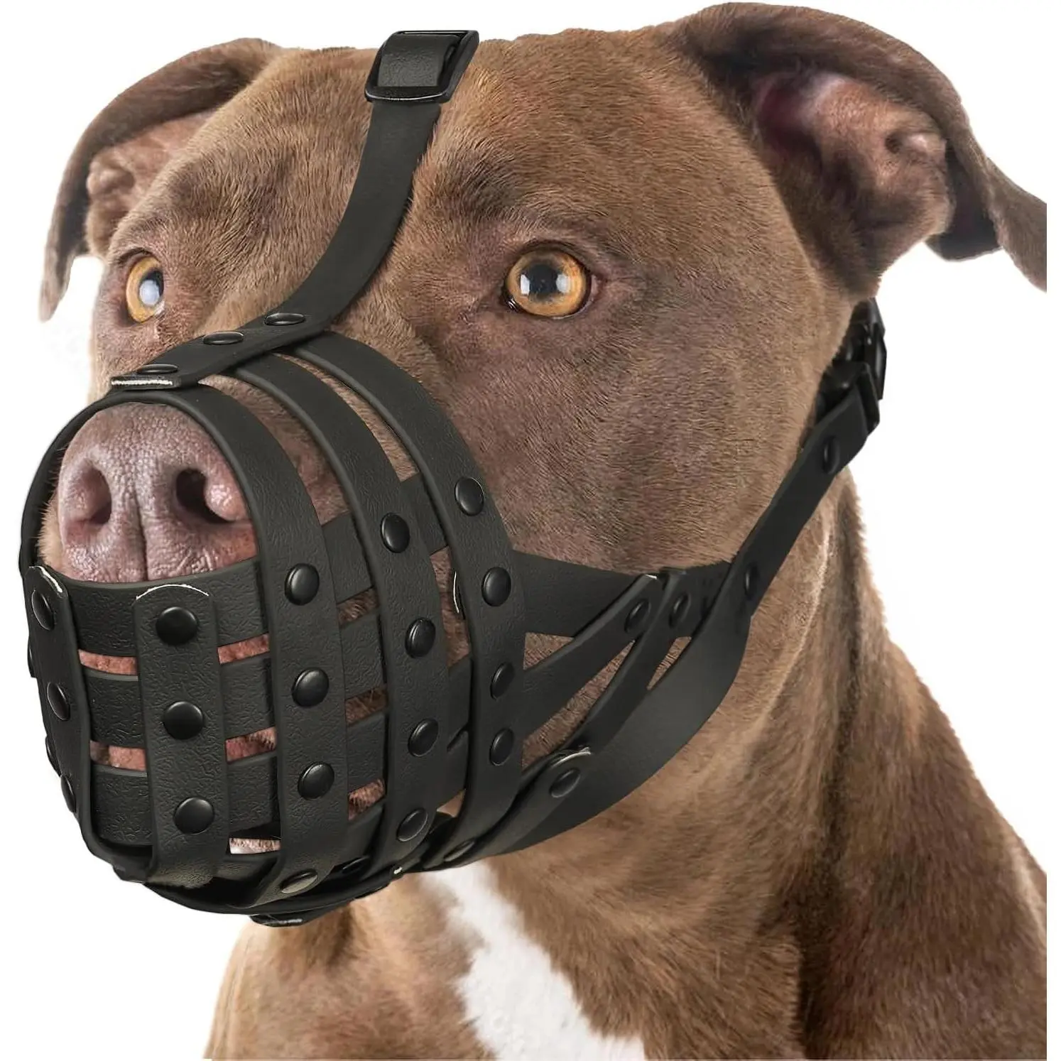 Basket Muzzle for Large-Medium Broad-Nosed Dogs, Pitbull Rottweiler Amstaff Fit, Sturdy Breathable, Prevents Biting, Safe Control, Allows Drinking, Training Walking Use, Black, L
