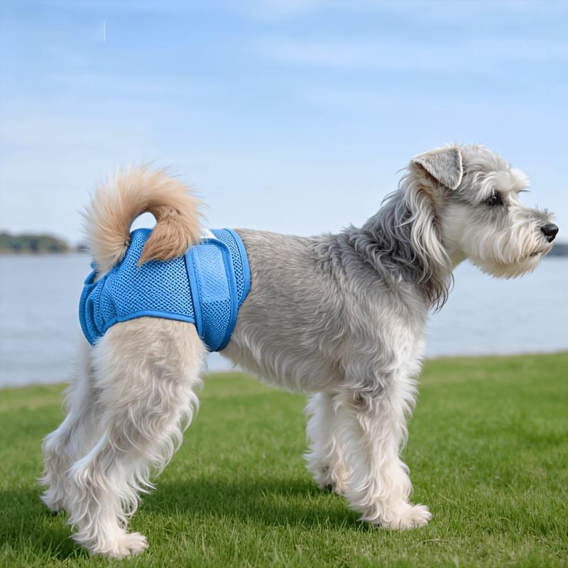 New Pet Female Dog Period Pants in 5 Colors, Comfortable, Leak-proof, and Breathable. Anti-harassment Modesty Pants, Reusable Dog Menstrual Pants, Dog Diapers. Suitable for Small, Medium, and Large Dogs. for All Seasons