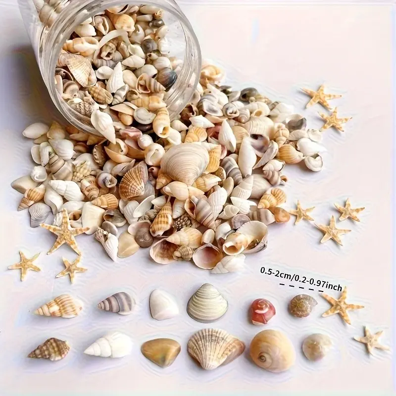 50g Mixed Mini Natural Seashells, DIY Craft Decorative Shells, Aquarium Landscape Filler, Fish Tank Decorations, Home Wedding Party Decoration