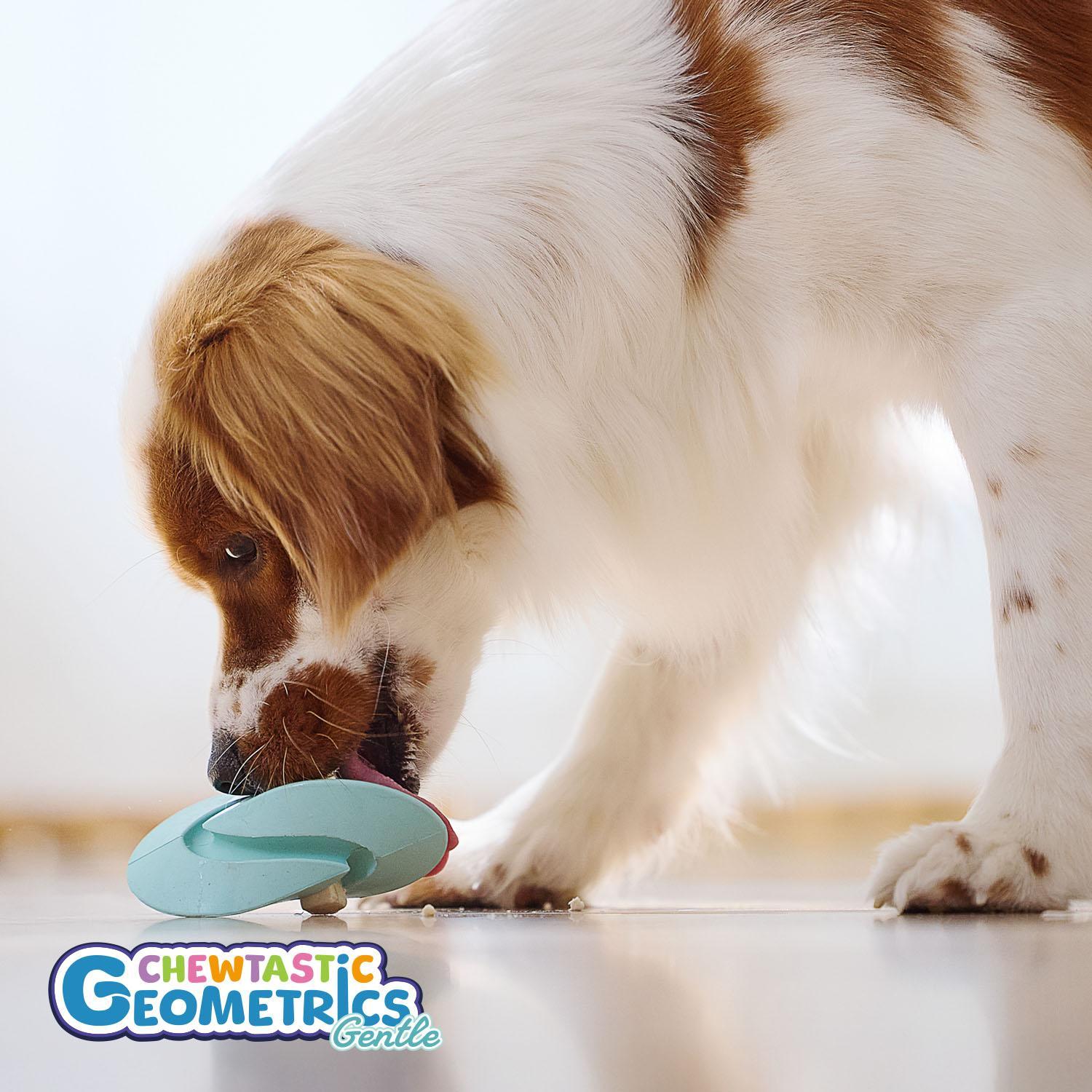 PetDreamHouse Chewtastic Geometrics GEO-DUO Mint Natural Rubber Dog Toy - Gentle Toughness Interactive Lick, Chew & Play Toy for Small Dogs