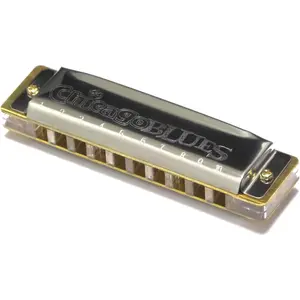 Harmonica Key of C, 10 Holes 20 , Diatonic Blues Harmonica for Adults, Beginners, Professionals