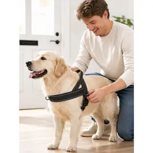 Comfortable Reflective Dog Harness with Adjustable Chest Belt and Quick Release Buckle, Soft Breathable No Choke Pet Vest for Small Medium Large Dogs, Safe Night Walking Puppy Harness for Training Hiking Running, Cute Holiday Gift for Mom Wife Girlfriend