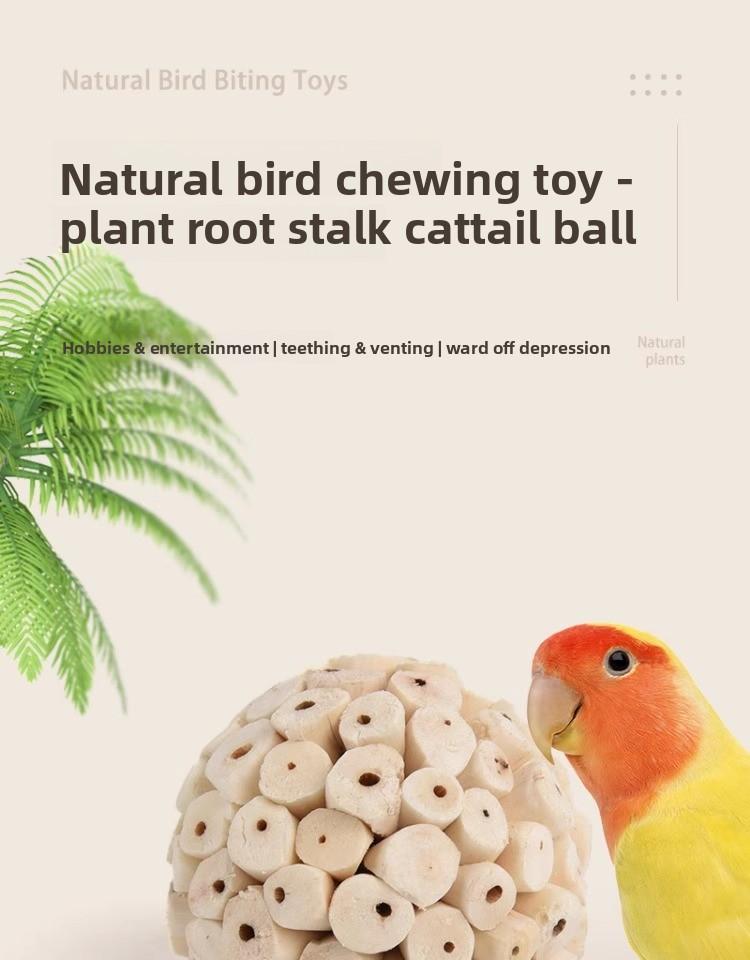 Destructive Parrot Chew Toy, Gnawing & Boredom Relief, Stress Reducing Fun Toy for Intelligence, Hanging Cage Ball for Budgie Cockatiel Lovebird Conure