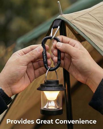 12PCS Carabiner Keychain Clip-3" Aluminum Caribeener Key Clip,D Ring Shape Nonlocking Carabeaner Hook Buckle,Multi-Function Spring Snap Key Clips Tool for Home,Camping,Hiking,Traveling,Backpack