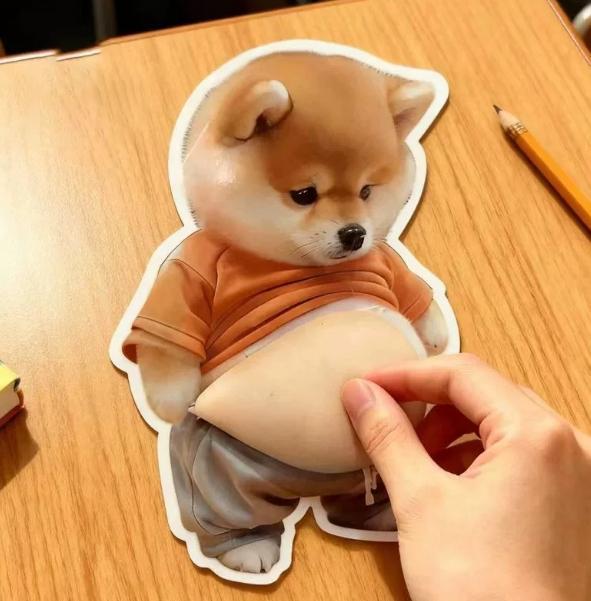 6Pcs 3D Dog & Cat Belly Mochi Squishy Stickers, Stress Relief Fidget, Cute Squeeze Toys for Kids Party Favors, Classroom Gifts, School Rewards, Fun  Gift for Adults & Kids, Silicone Puffy Car Door & Wall Buffers