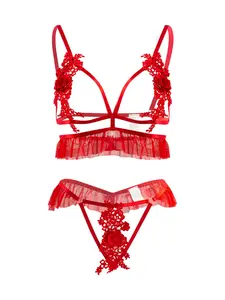 Women's Sexy Lingerie Underwear Set, Vacuum Mesh Cutout Design, Floral Embroidery, Wireless Bra and Pants, Perfect for Parties and Gifts