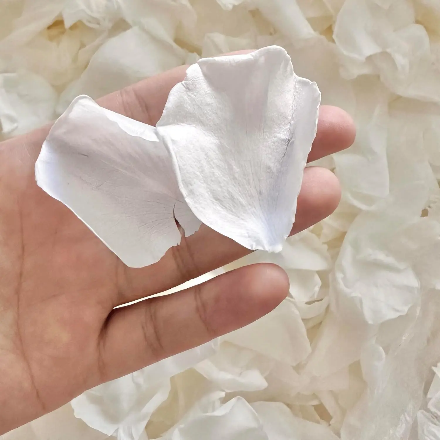 Real White Rose Petals, Freeze Dried Flower Petals for Wedding,1.75Oz | 180+PCS Wedding Petals for Flower Girl, Bridal Toss,Aisle,Table Scatter Decor,Party Confetti