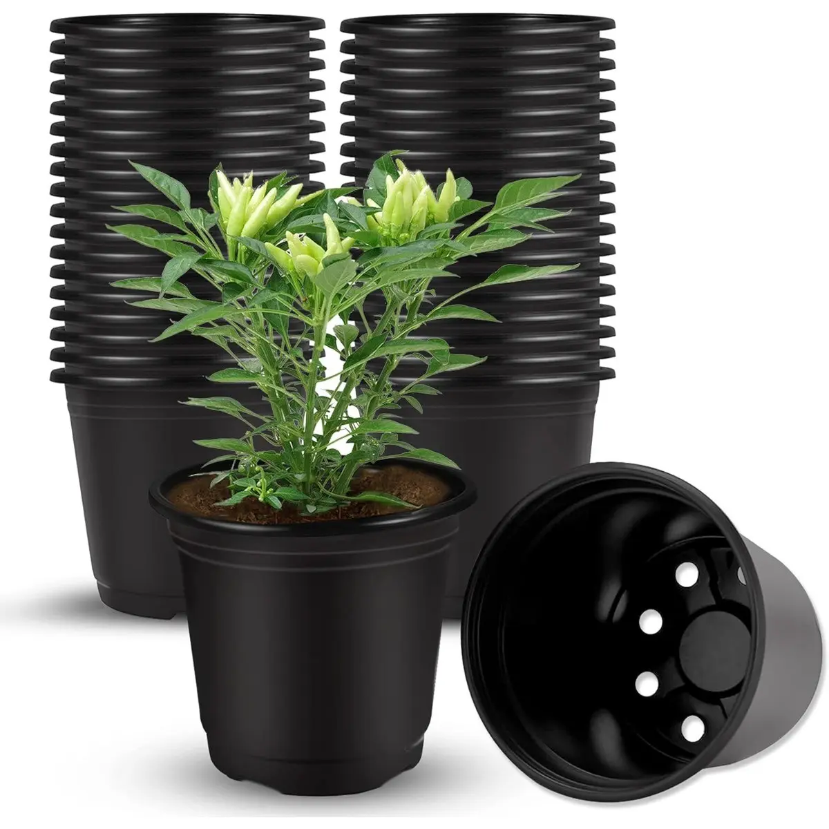 50 Plastic Seedling Pots, 10cm Diameter, Durable Reusable, Ideal for Gardening, Indoor Outdoor Use, Nursery Pots, Plastic Pots for Plants