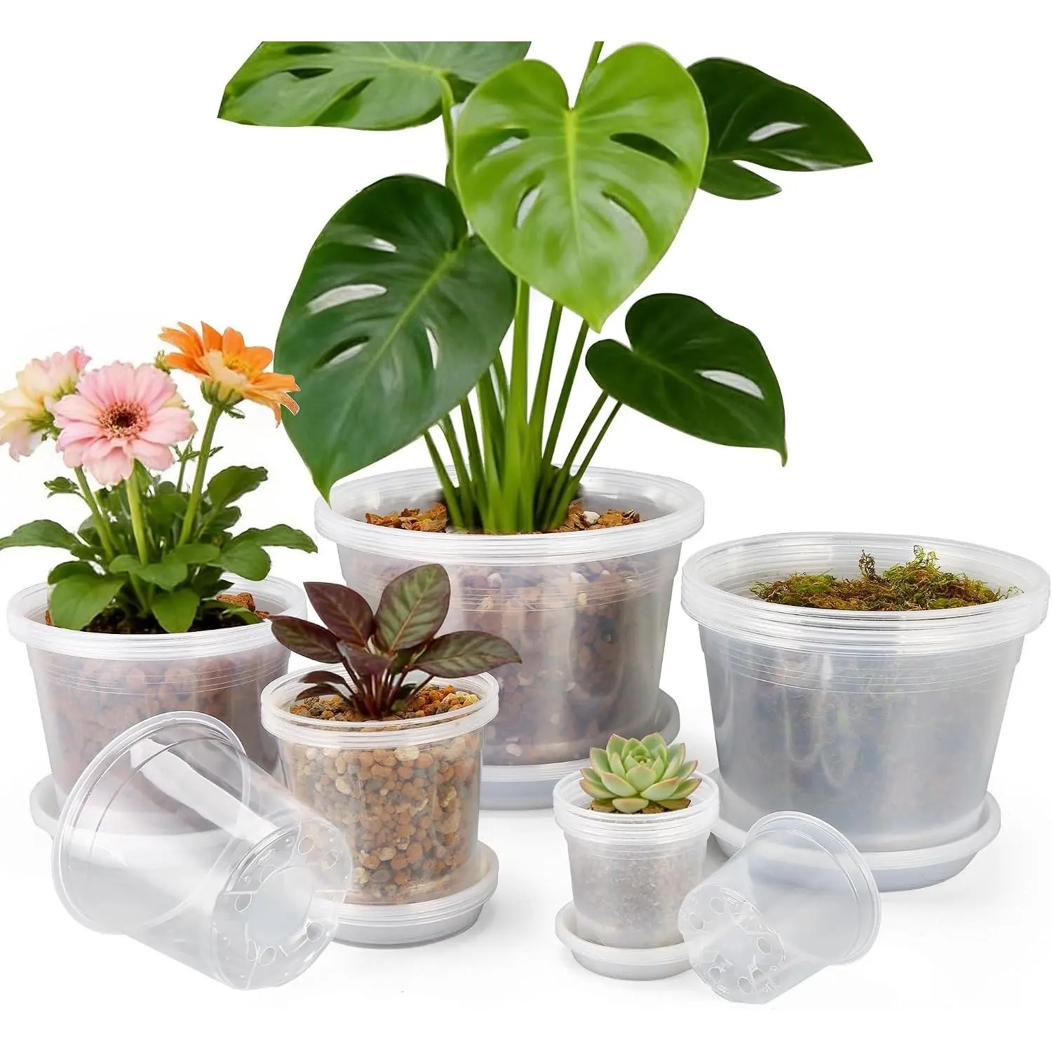 Plastic Nursery Pots for Plants with Drainage Holes & Saucers, 20-Piece Bulk Pack (12/10/8/6/4 in Multi-Size) for Plant Repotting, Flower Growing, With Saucers