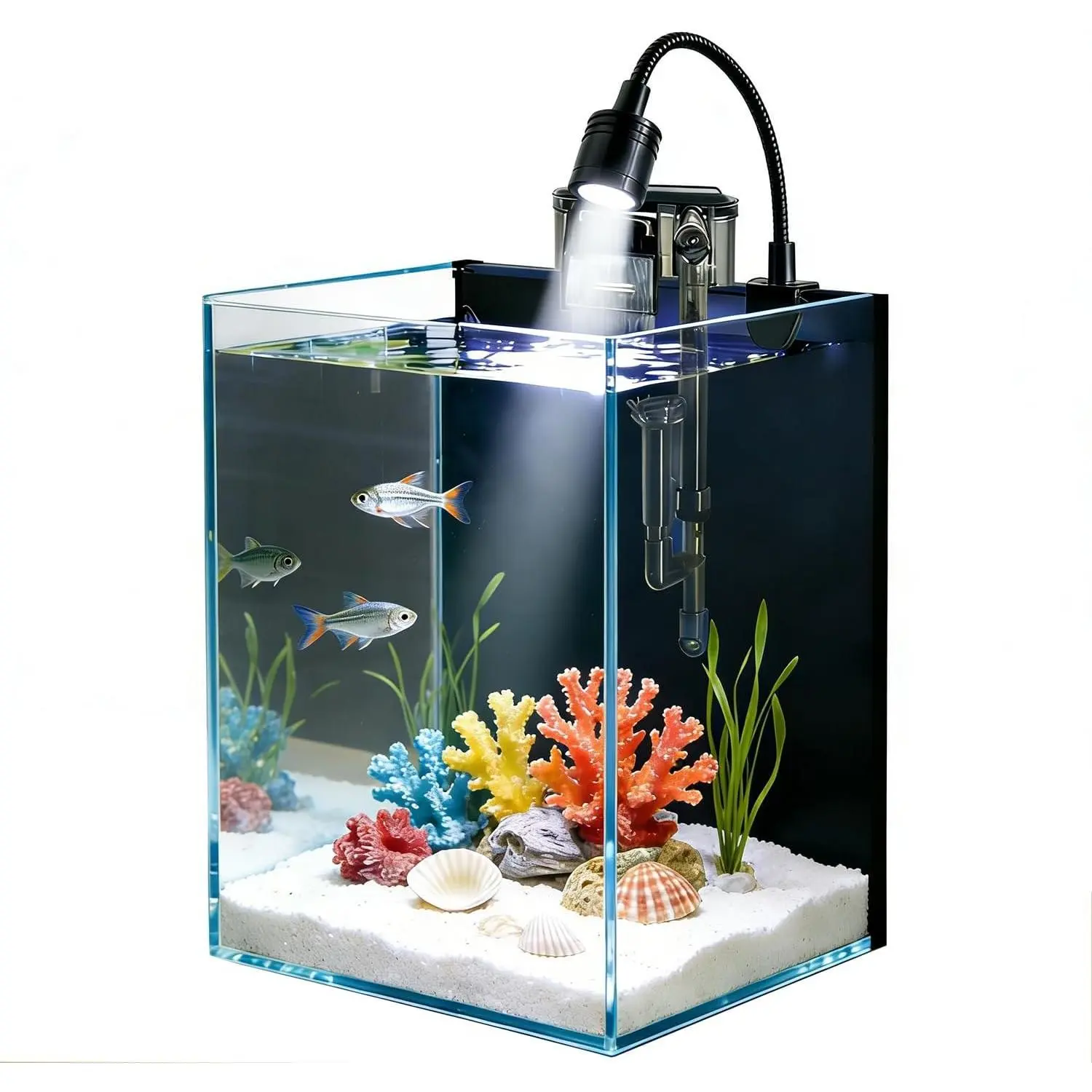 Betta Fish Tank kit,Small Nano Glass Fish Tank Start Kit with Filter,LED Light for Shrimp,Small Fish,Betta (1.5 Gallon)