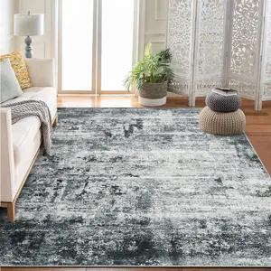 Modern Abstract Area Rug for Living Room - Soft Machine Washable, Non-Slip Floor Carpet for Outdoor Entryway