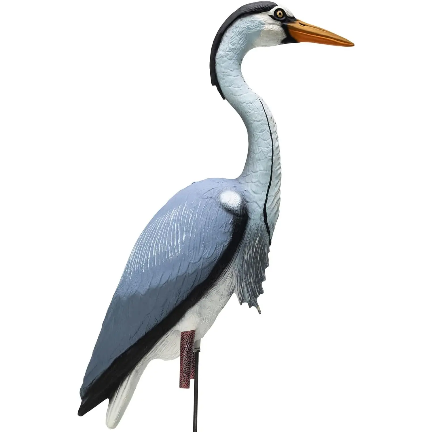 Blue Heron Confidence Decoy for Waterfowl and Ornamental Water Garden, Pond and Landscape Decoration Plus Pest Deterrent
