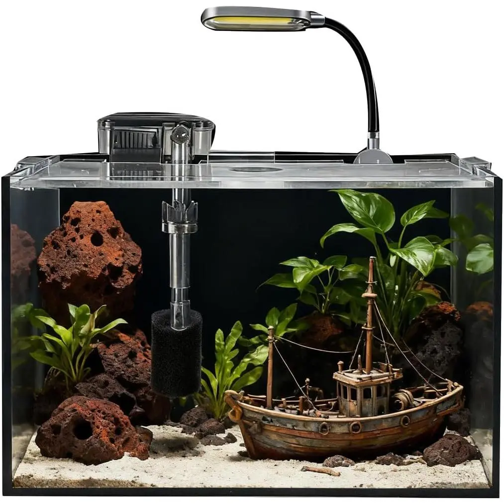 2.5 Gallon Fish Tank Starter Kits, with Led Light, Filter Pump, Cover, Small Fish Tank Betta Aquarium (30x18x20CM)