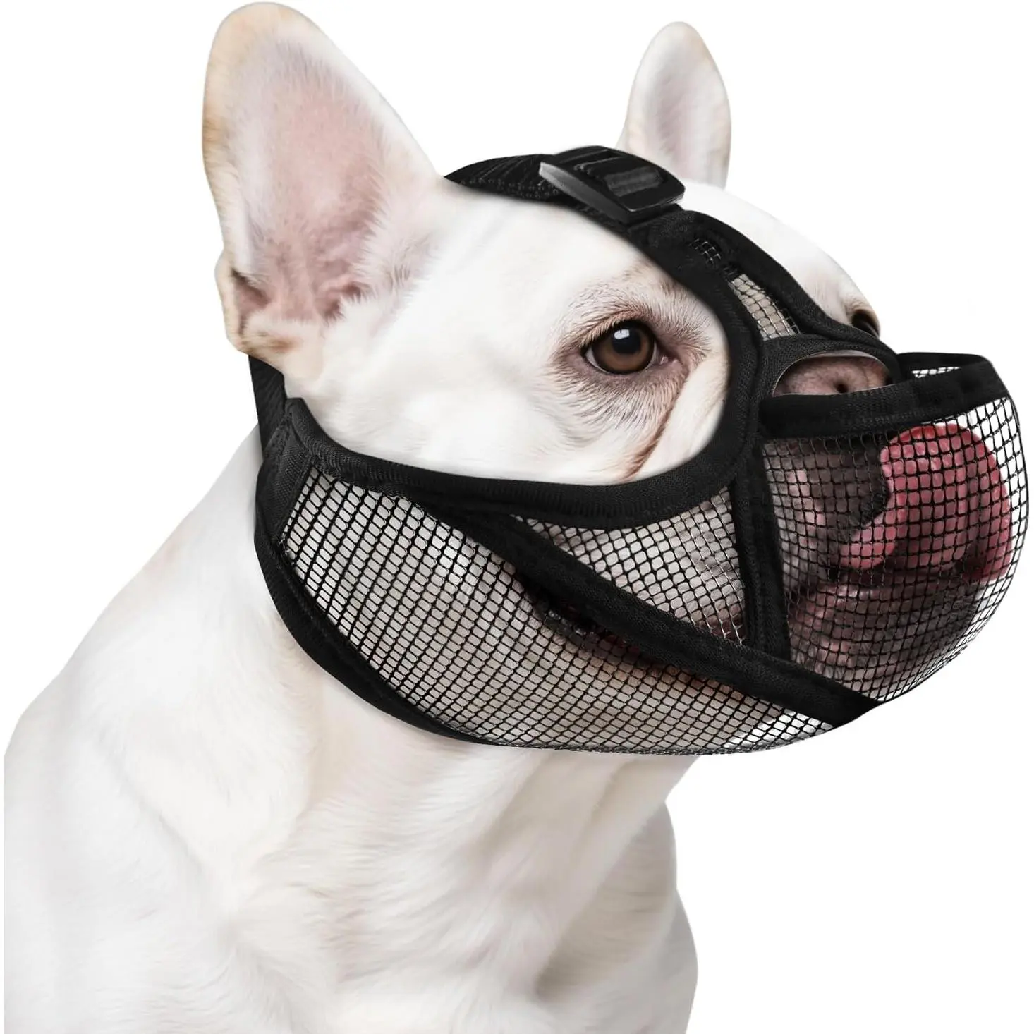 French Bulldog Soft Mesh Muzzle - Short Snout Design with Open Eye Holes, Prevents Bite, Allows Tongue Ext, Drinking & Feeding (M, Black)