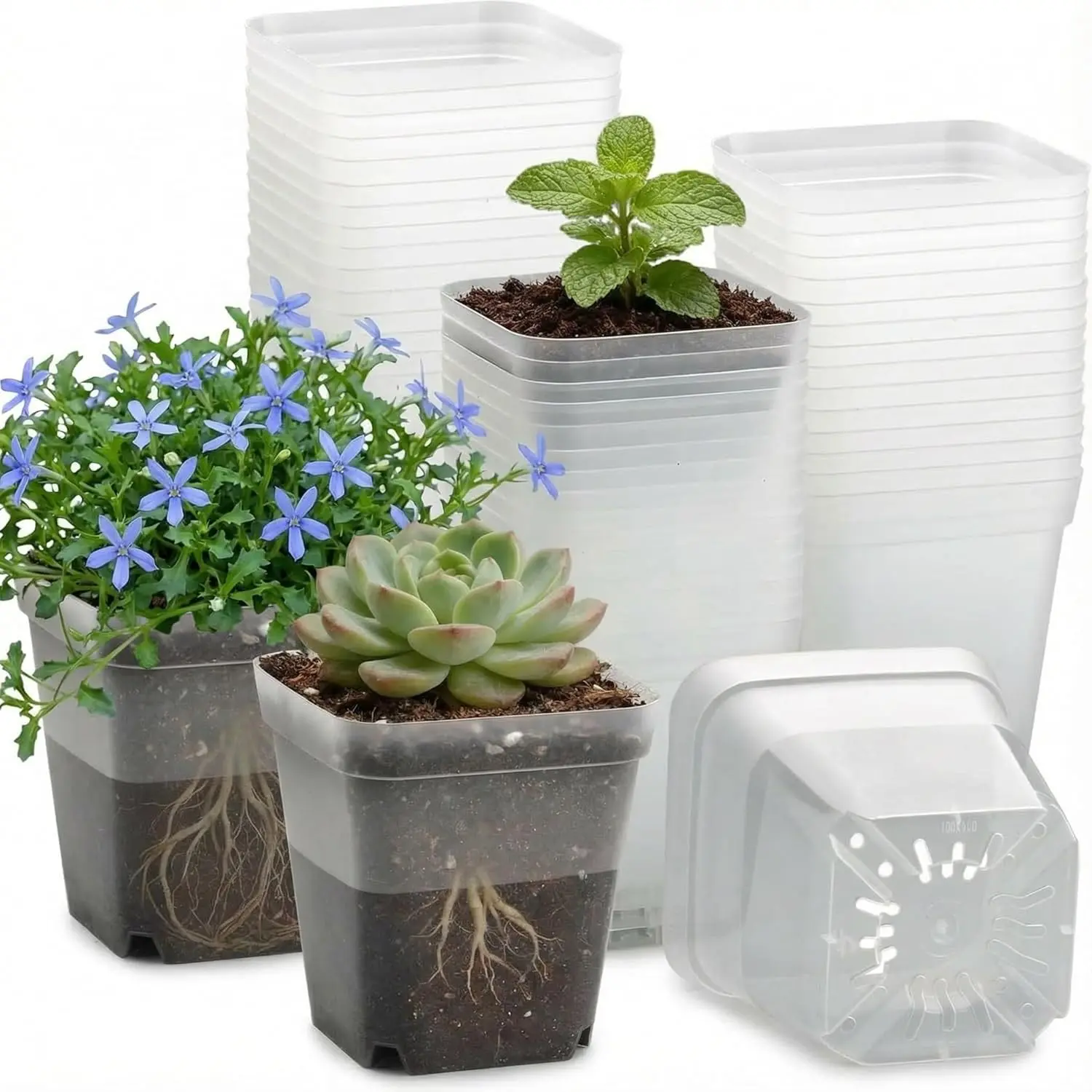 60 Pcs Clear Square Nursery Pots 4 Inch, Reusable Seedling Pots with Drainage Holes, Transparent Small Plant Potting Containers for Seedlings Microgreens, Flowers, Indoor Gardening