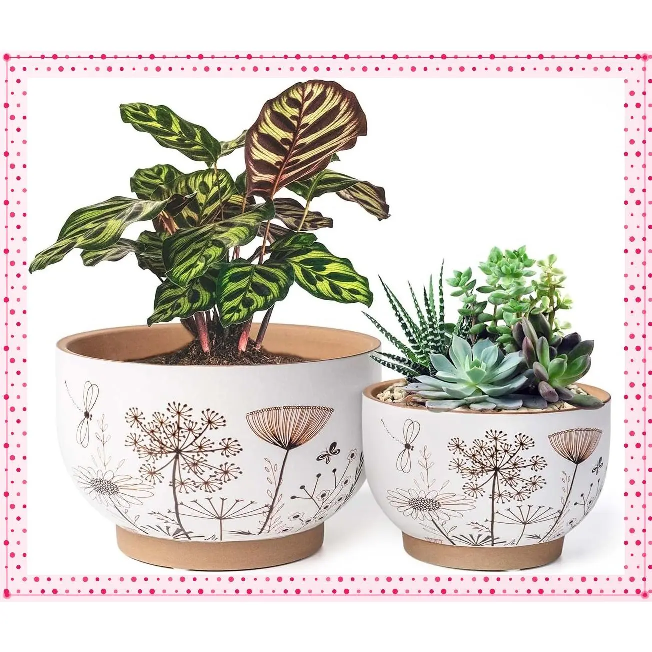 Terracotta Pots, 8+6 Inch, 2 Pcs with Drainage Holes | White & Terracotta Ceramic Planters with Botanical Decals for Indoor Plants, Succulents, Herbs & Home DécorGift