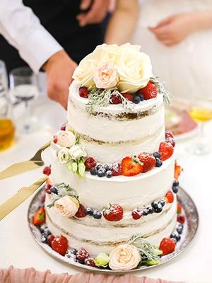 Wedding cake cutting set, elegant cake and server set, equipped with thickened stainless steel rounded edges, cake cutter shovel for cake cutters, birthday anniversary Christmas, 2 pieces, gold color Wedding cake cutting set, elegant cake and server set, equipped with thickened stainless steel rounded edges, cake cutter shovel for cake cutters, birthday anniversary Christmas, 2 pieces, gold color