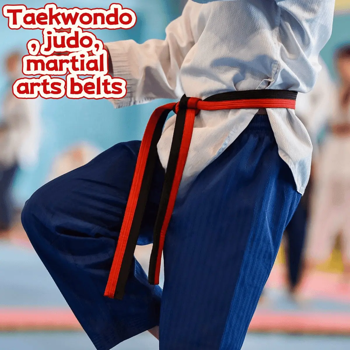 Multi-Color Taekwondo Belt, Multi-Layer Thick Soft Material, Ideal for Judo, Karate, Martial Arts, Brazilian Jiu-Jitsu Training, Daily Use, School Season