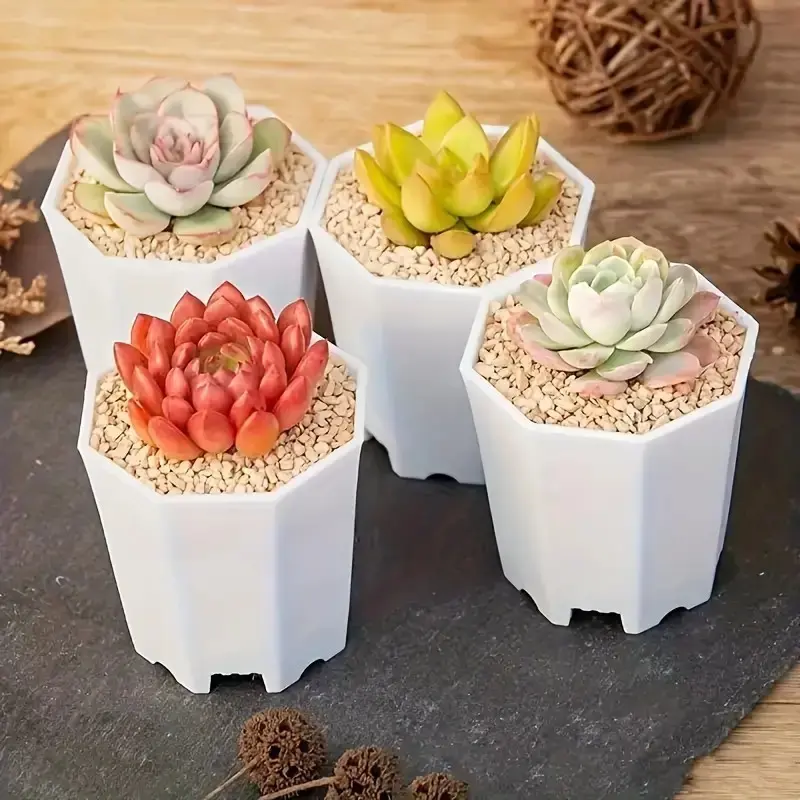8 Small Flower Pots, Succulent Planters, Beginner Gardening Containers, Ideal for Indoor Plants, Easy to Use, Durable Design