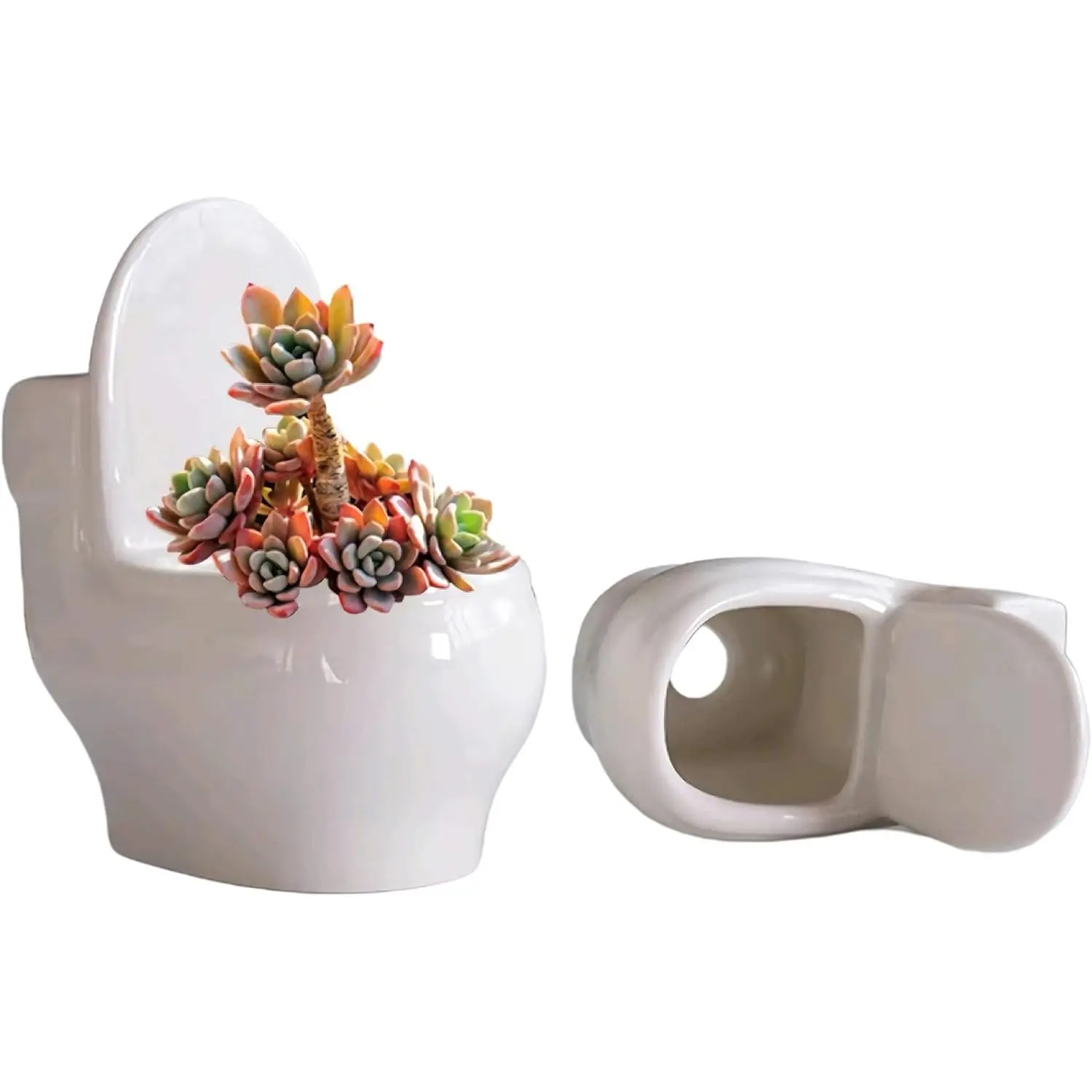 Ceramic Toilet Bowl Shaped Flower Pot -  and Charming  Decor (White Toilet Bowl)