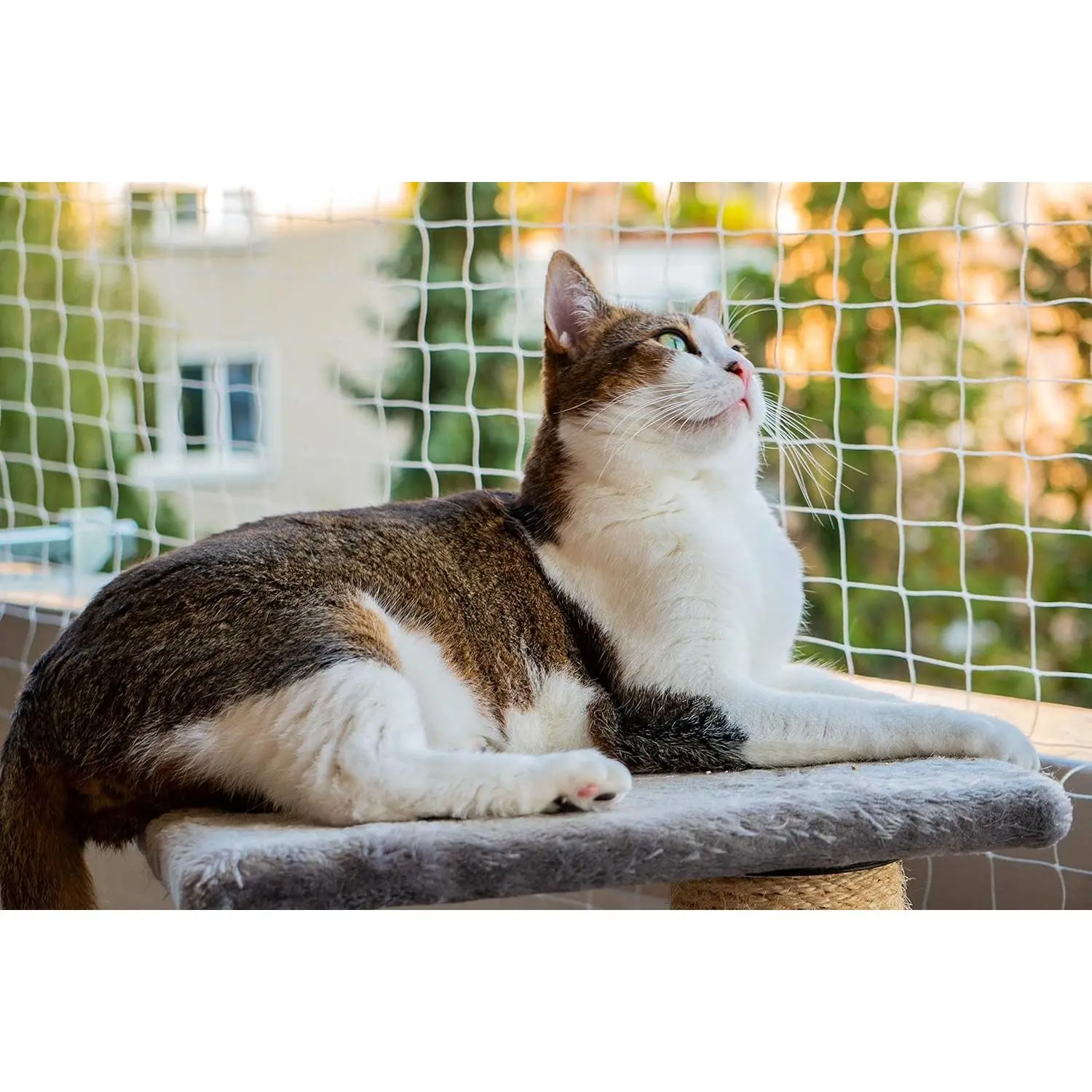 Durable Nylon 10*33ft Cat Anti-Fall Safety Balcony Netting for Pets Suitable for Balcony Windows and Patio