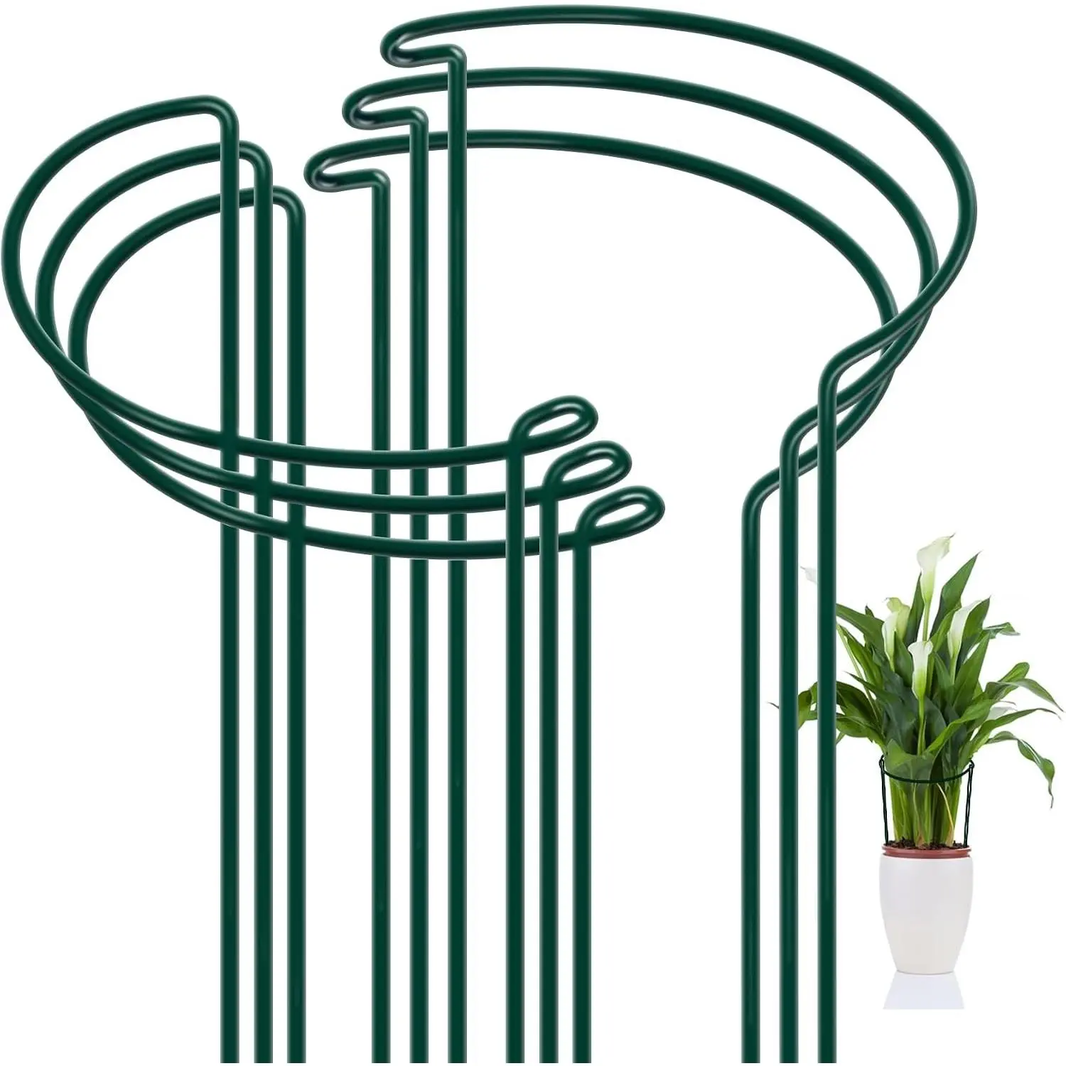 Peony Cages and Supports, 6 Pack Plant Support Stakes for Outdoor & Indoor Plants, 10" W x 16" H Half Round Garden Plant Support Rings for Peonies, Hydrangeas, Roses, Dahlias