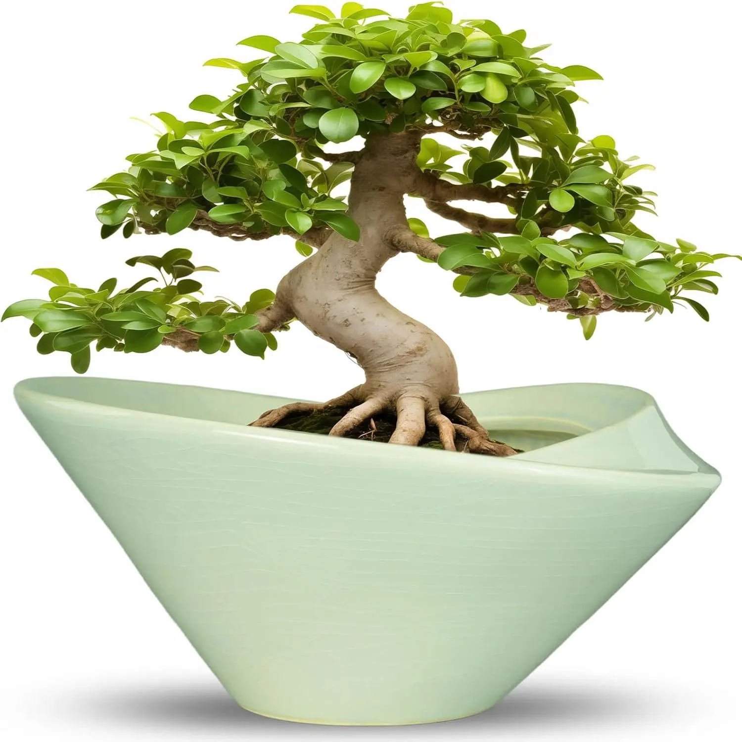 Ceramic Bonsai Pots - Large Succulent Planter 13 Inch  Pot Indoor Succulent Pot with Drainage Hole Outdoor Planter Bonsai Tree Pot for House  Garden Office Decor Green