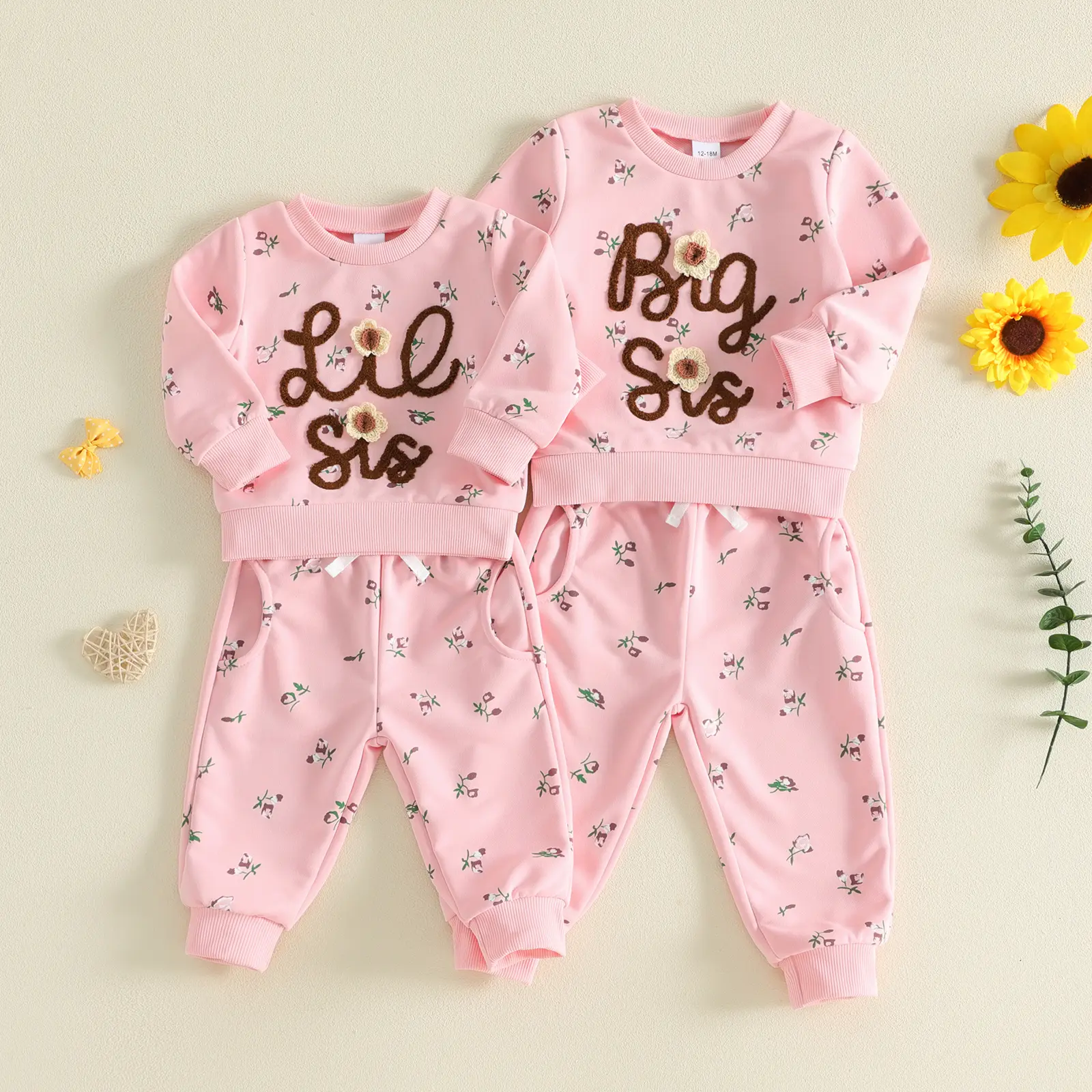 Toddler Baby Little Girls Floral Print 2 Piece Outfit Embroidery Long Sleeve Sweatshirt Elastic Waist Jogger Pants Matching Set 0-5 Years