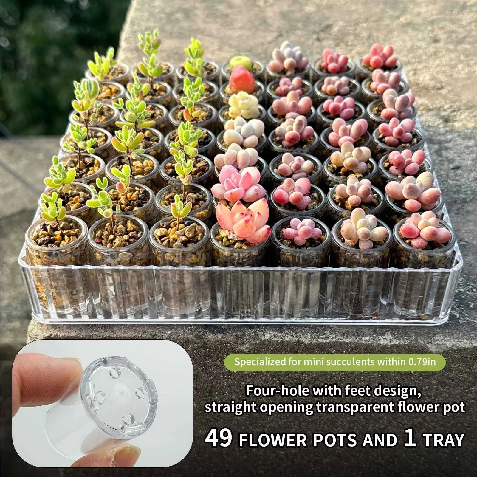 Super Tiny Mini Succulent Pots, 0.75inch Small Transparent Plastic Flower Pots, Four-Hole Breathable Containers with Feet, for Miniature Plants, Cuttings, Propagation, Gardening Supplies