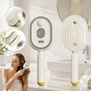 2026 New Rechargeable Steam Hair Straightener Brush, Electric Detangling Steam Hair Brush, Anti-Static Reduce Frizz Nourish Hair Portable Steam Hair Styling Brush For Travel Home Use