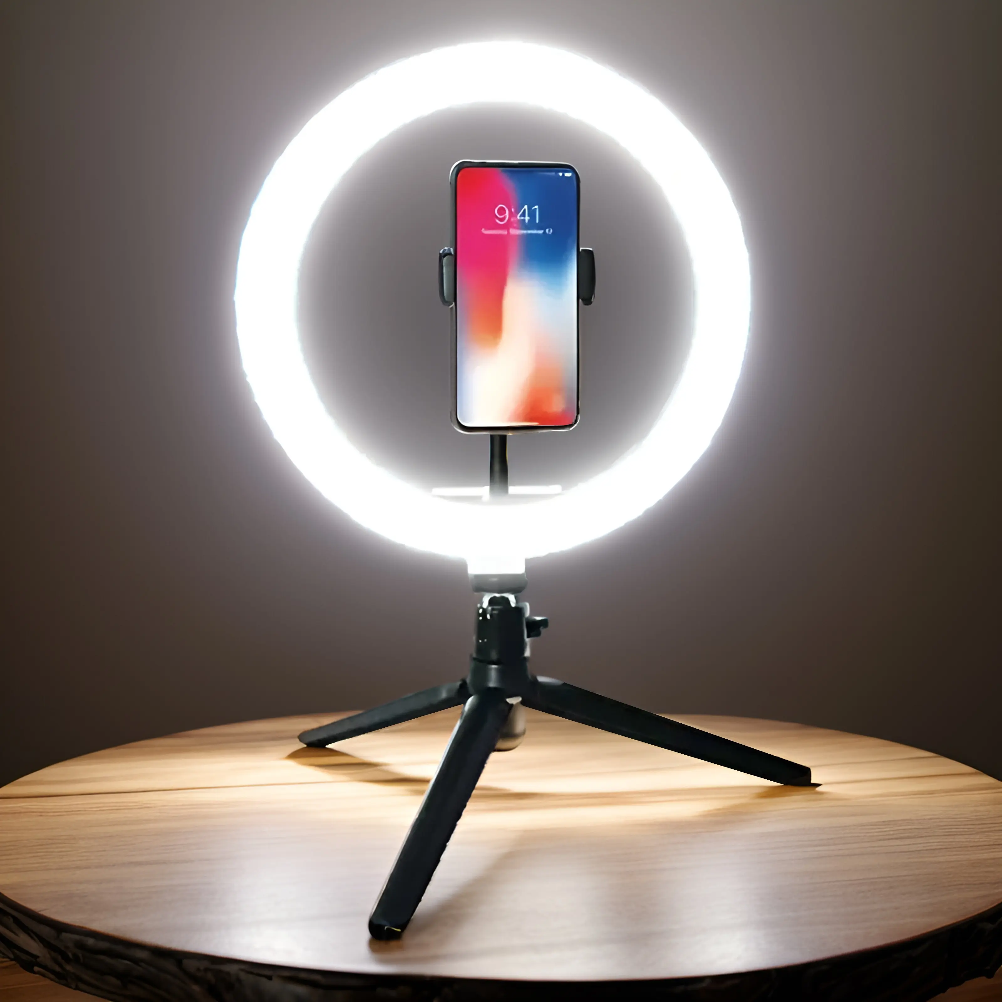 10-in Desktop LED Ring Light with Stand - USB-Powered Indoor Recreation Accessory, Beauty Tool with Mirror, Smartphone Holder, Photoshoot Accessory for Live Streaming FR56220