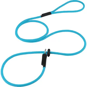 Slip Lead Dog Leash 7FT, Heavy Duty Nylon No Pull Training Rope with Adjustable Stopper, Strong Dog Walking Lead for Small Medium Large Dogs, Sky Blue